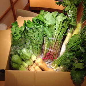 埼玉県小川町、横田農場さんから有機野菜が届きました！