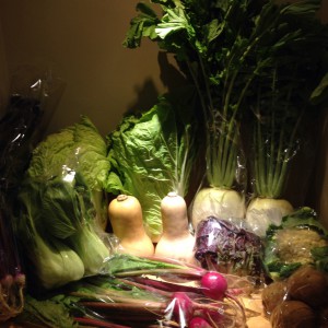 横田農場さんから今日も新鮮な有機野菜が届きました！
